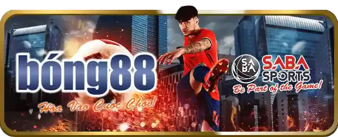 Không theo đuổi thua lỗ